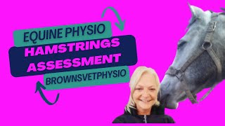 Equine Physiotherapy - Hamstrings Assessment