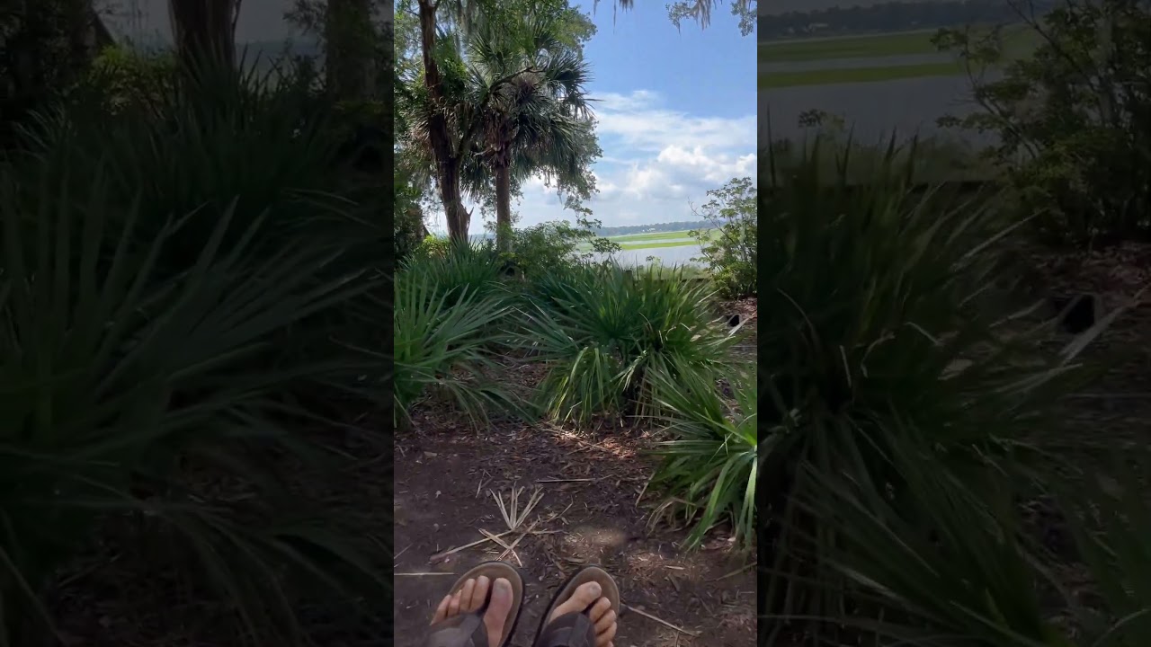 Wright Family Park in Bluffton SC is a swinging place to be. 