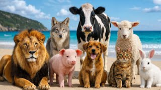 Learn Animal Sounds for Kids | Farm Animals 🐄🐑🐔 part 26 screenshot 5