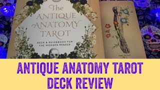 Antique Anatomy Tarot Deck Review