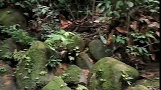 PEMBAGIAN WILKER PENYULUH KEHUTANAN (Division of Work Areas for Forestry Extension Workers)
