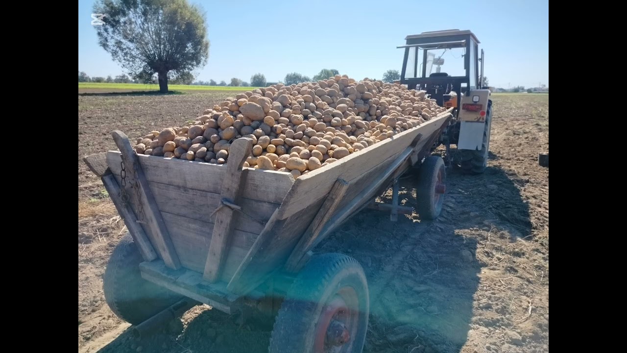 Rolnictwo jak za dawnych lat.