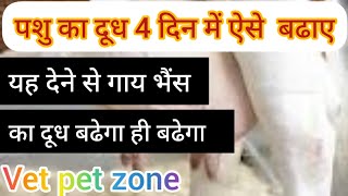 गाय का दूध कैसे बढ़ाएं Cow Milk Increase Tips / Cow ka Milk Badhane ki dawa #animals #trending #cow