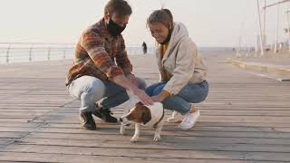 Keep Your Pets Safe During Wildfires