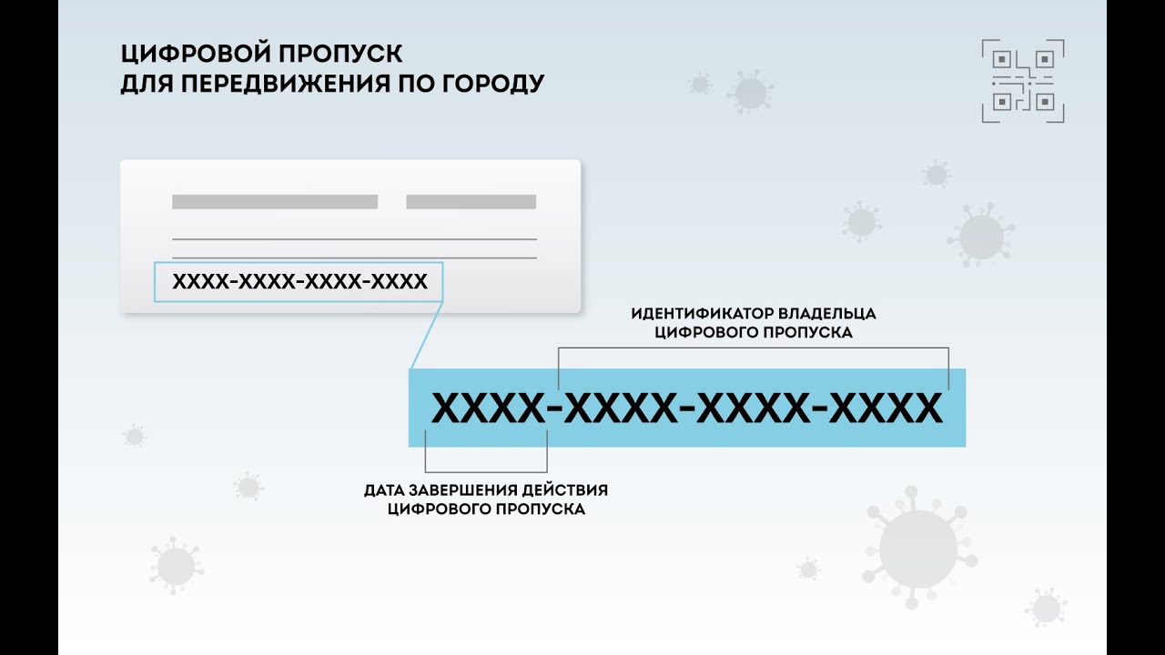 Как оформить пропуск во время карантина. Пошаговая инструкция!