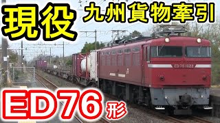 【ED76形】 九州貨物 2023年現役 ”ほぼ”全車両収録 (JR貨物 交流電気機関車) 0番台・1000番台　(元・JR九州所属車両も運行中)