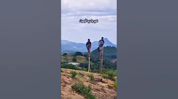 شاهد لماذا تستخدم هذه القبيلة العصي الطويلة في المشي Shorts 