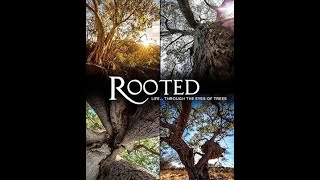 ROOTED - Tangled in the Tides