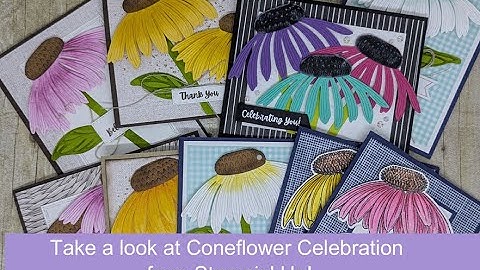 Coneflower Celebration stamp set samples ~ Beth