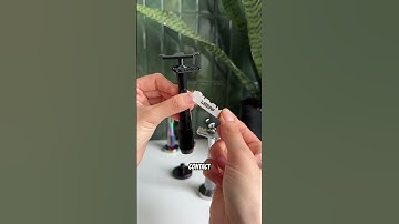 Meet our single edge razors: Twig vs Thorn! Which should you shave with? #leafshave #shavingtips