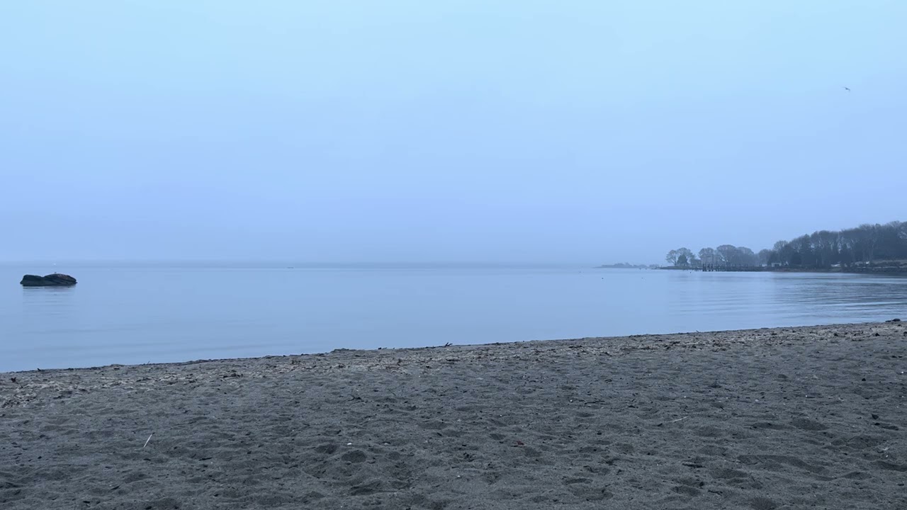 January 7, 2026 Fogrise 