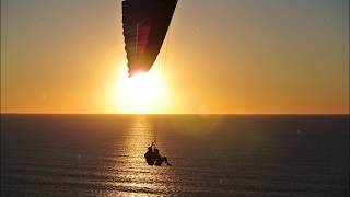 Fluxsense  Solar Feeding