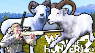There Was Nothing DALL About This SHEEP Hunt! | Way of the Hunter 2