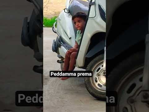 peddamma love
