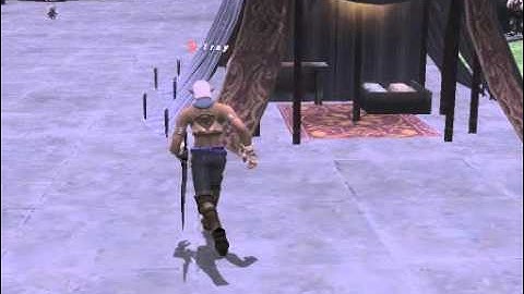 Running problems: private servers ffxi