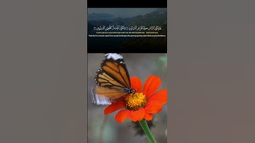 اسمع سورة القارعة بصوت مريح يلمس الأعماق | Surah Al-Qari’ah 🔊✨ #سورة_البقرة #quran