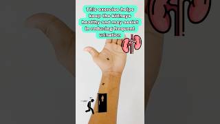 Try This Simple Exercise for Better Kidney Health #shorts #exercise #yoga