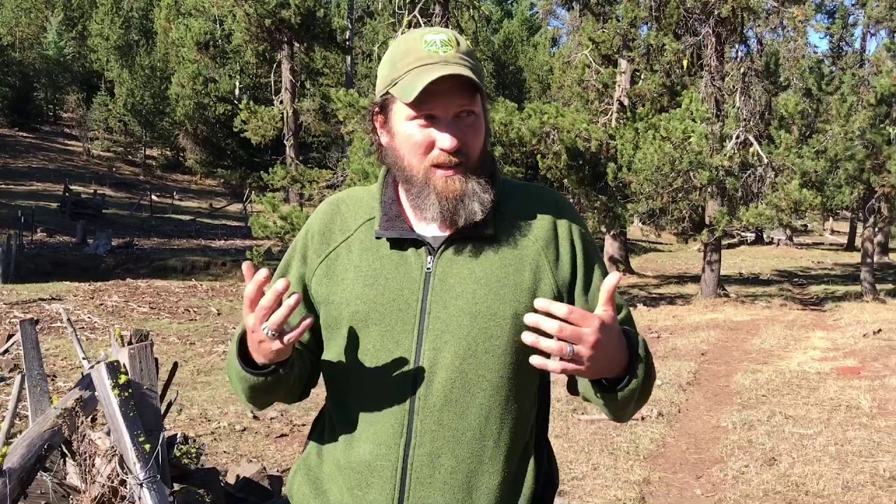 Rob Klavins talks cows in Wallowa County