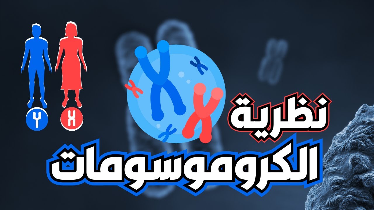 الكروموسومات والنظرية الكروموسومية | @Drscience-2023