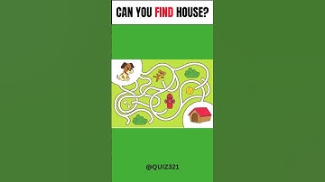 Smart Puzzle Maze FUN Level 2 #QUIZ321