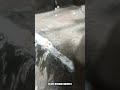 Dam Overflow Release 💦 | Massive Water Flow #DamRelease #FloodWater #DamOpening