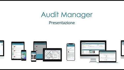 Audit Manager di Focus Informatica
