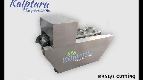 RAW MANGO CUTTING MACHINE - AUTOMATIC (Whatsapp : +91 84 6070 8483)