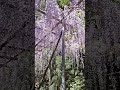 2026年5月1日