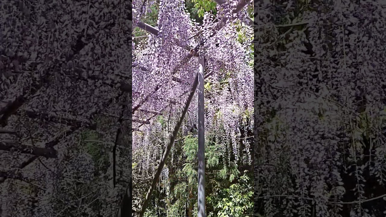 2026年5月1日