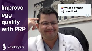 Improve EGG QUALITY for IVF with PRP | Ovarian Rejuvination | FertilitySpace x Dr. Zaher Merhi #ivf