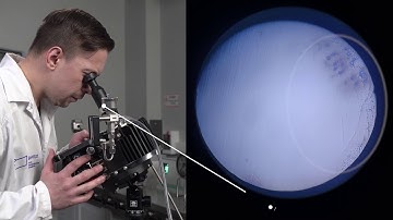 Hygrovision BL Video Manual Chapter 5 Hydrocarbon Dew Point Manual Mode