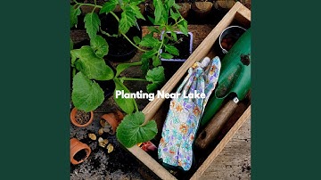 High-class Backdrops for Atmospheric After Hours