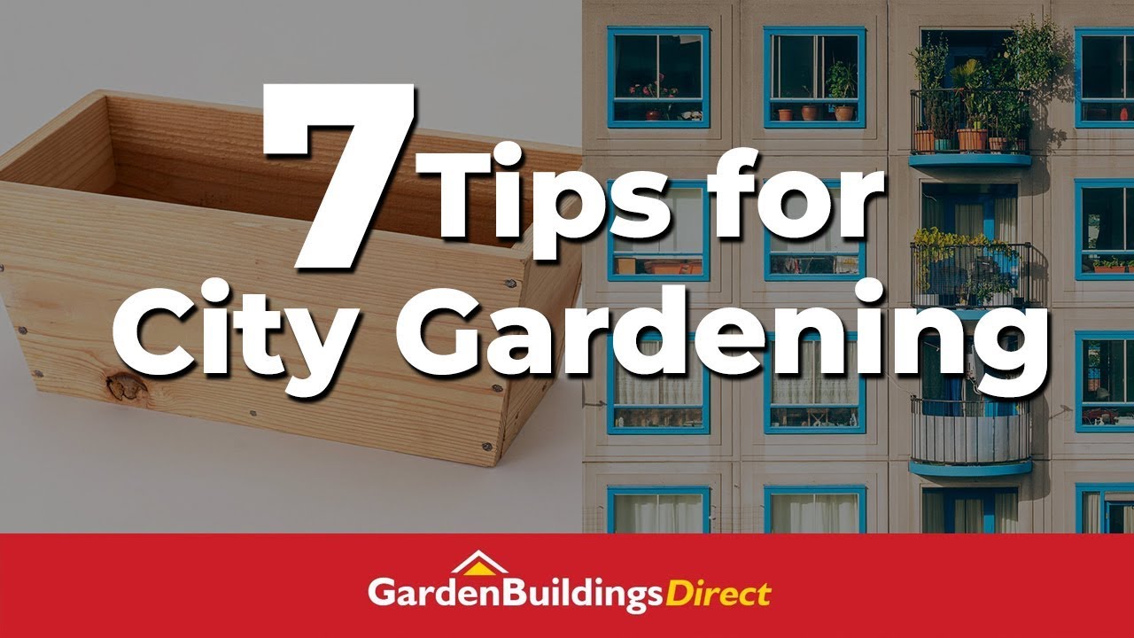 How to Garden in a Small Urban Space - City Gardening Tips - YouTube