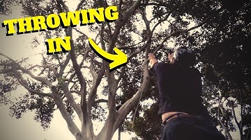 HOW TO THROW INTO A TREE- Intro to Tree Climbing W/ Bino H & Noah Pt. 11