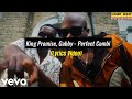 King Promise, Gabzy - Perfect Combi (Lyrics Video)