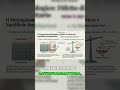 Dermatite Atopica nel Cane e PEA Verità in 10 Secondi