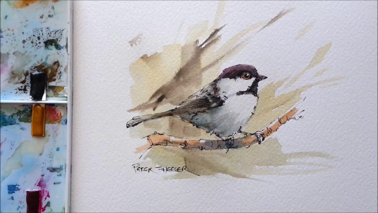Line and Wash Black Capped Chickadee. Great for begginers in Wildlife