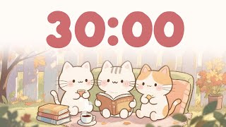 30 Minute Timer classroom 🎵 Focus study timer music