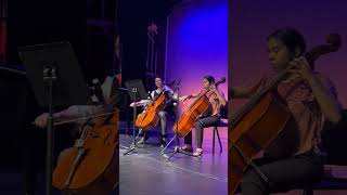 Strings in Harmony: A Beautiful Cello Duet Between Teacher and Student