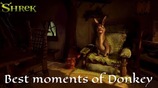 Shrek (2001) - Best Donkey Moments! Resimi