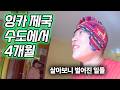 잉카 제국 수도에서 4개월.. 이런 일이 벌어질 줄 몰랐습니다 【한번에 몰아보기】