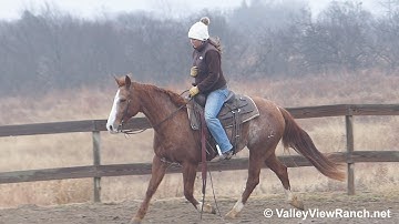 Ima Aristocat - riding in outdoor arena - ValleyViewRanch.net
