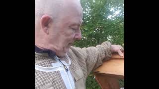 Zweizargen Überwinterung#imkerei #bee #honig #beekeeping #imkerei wabengold