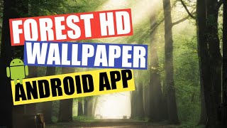 Forest HD Wallpaper Android App screenshot 2