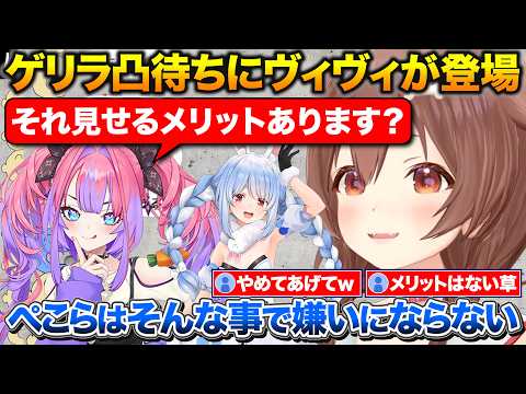 ゲリラ凸待ちにヴィヴィが登場+ぺこちゃんにヴィヴィの汚部屋写真を送ろうとするころさん【ホロライブ/戌神ころね/綺々羅々ヴィヴィ/兎田ぺこら】