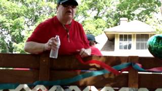 2013 Marcellus Olde Home Days 6