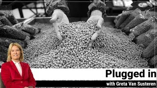 Plugged in With Greta Van Susteren - US-China Trading Tariffs