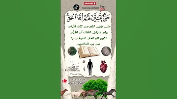 (سنريهم آيتنا في الآفاق .. ) سورة فصلت ٥٣ #احمد_العجمي #القرآن_الكريم #quran #explore