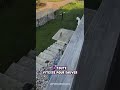 La réaction incroyable d'une maman chat !😻