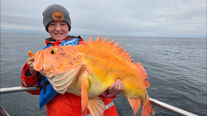 1 Week Fishing, Camping, & Hiking Adventure ( I Flew a Family of 10 to Alaska)